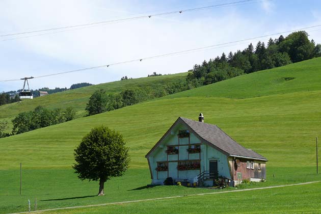 HKDS R&uuml;te Br&uuml;lisau - 2011-08-14