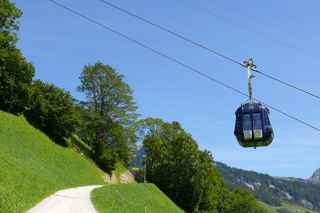 SBE Elm - 2007-08-05 SBE Elm - 2007-08-05