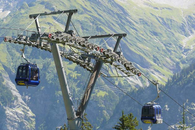 SBE Elm - 2007-08-05 SBE Elm - 2007-08-05