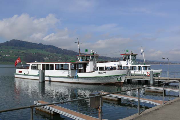 SGH Meisterschwanden Delphin - 2010-04-02 SGH Meisterschwanden Delphin - 2010-04-02