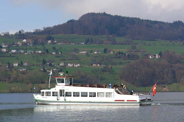 SGH Meisterschwanden Delphin - 2010-04-02 SGH Meisterschwanden Delphin - 2010-04-02