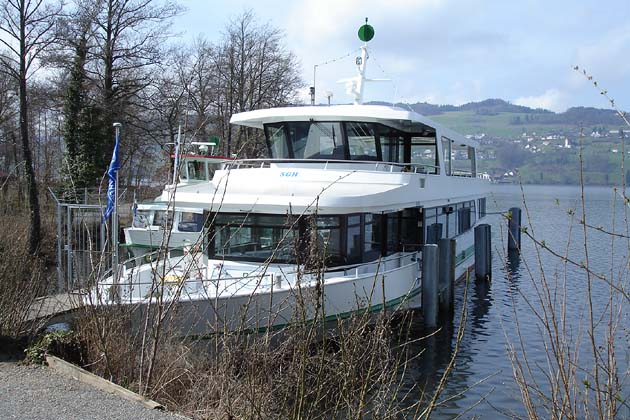 SGH Meisterschwanden Delphin - 2010-04-02 SGH Meisterschwanden Delphin - 2010-04-02