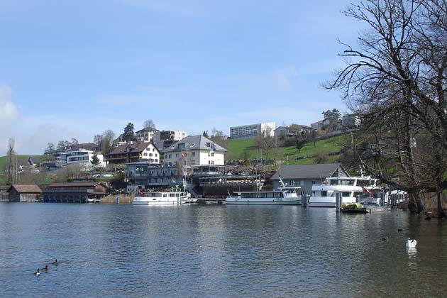 SGH Meisterschwanden Delphin - 2010-04-02 SGH Meisterschwanden Delphin - 2010-04-02