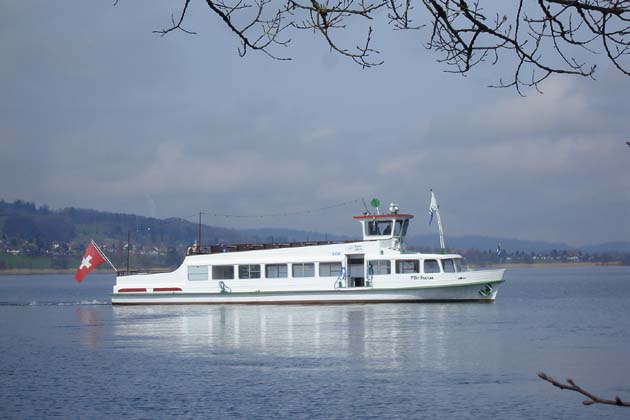 SGH Meisterschwanden Delphin - 2010-04-02 SGH Meisterschwanden Delphin - 2010-04-02