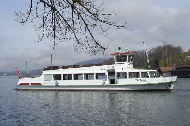 SGH Meisterschwanden Delphin - 2010-04-02 SGH Meisterschwanden Delphin - 2010-04-02