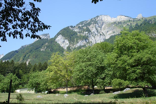 BGST Fr&uuml;msen - 2006-07-28