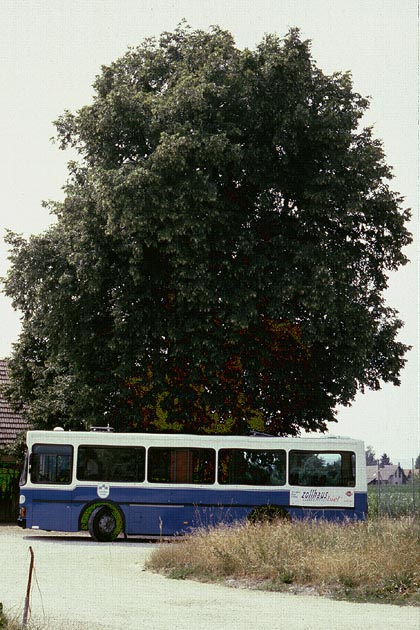 VB/TPB Scheuren - 2003-06-30