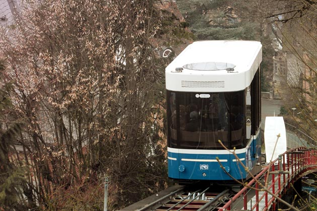 VBZ Rigiblick - 2026-01-24 VBZ Rigiblick - 2026-01-24