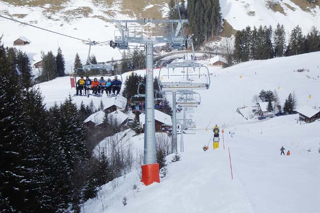 SRN Diemtigen Zwischenfl&uuml;h - 2008-01-01