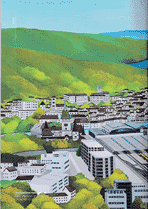 Umschlag / Cover / Couvre-livre